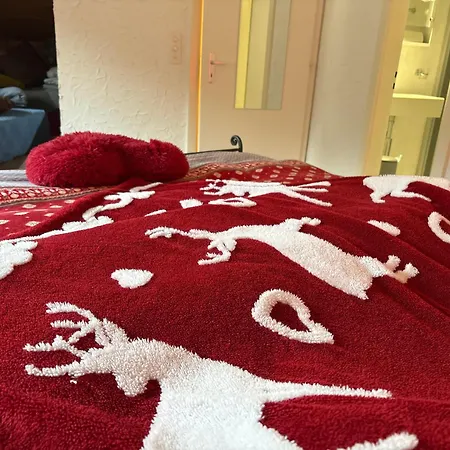 Corps Au Coeur בית אירוח *